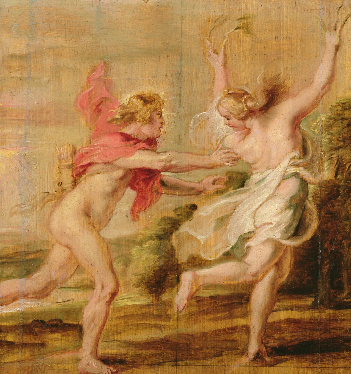Apolo e Daphne, c.1636 de Peter Paul Rubens