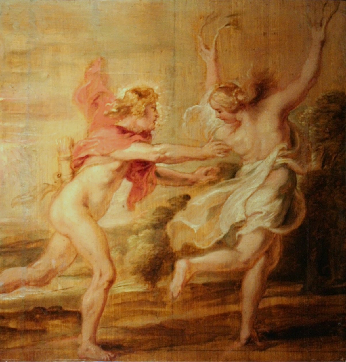 Apolo e Daphne de Peter Paul Rubens