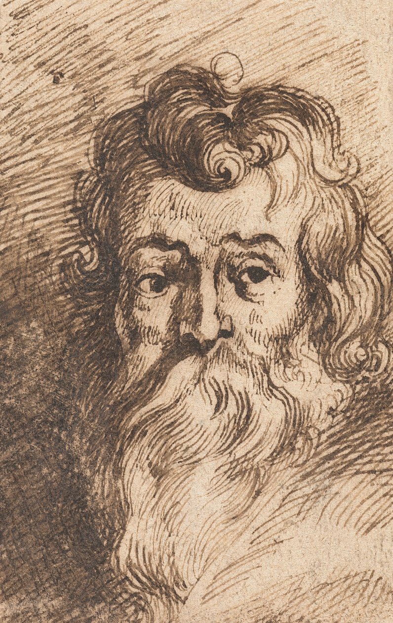 Cabeça de um homem barbudo de Peter Paul Rubens