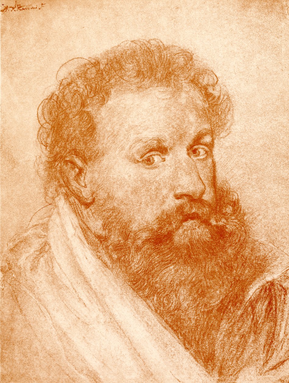 Retrato de um estranho de Peter Paul Rubens