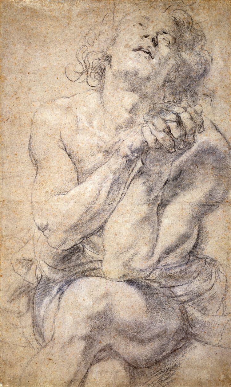 Juventude Masculina Sentada (Estudo para Daniel) de Peter Paul Rubens