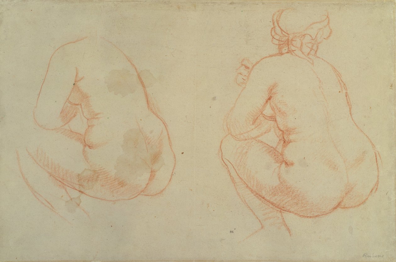 Estudos de nus femininos de Peter Paul Rubens