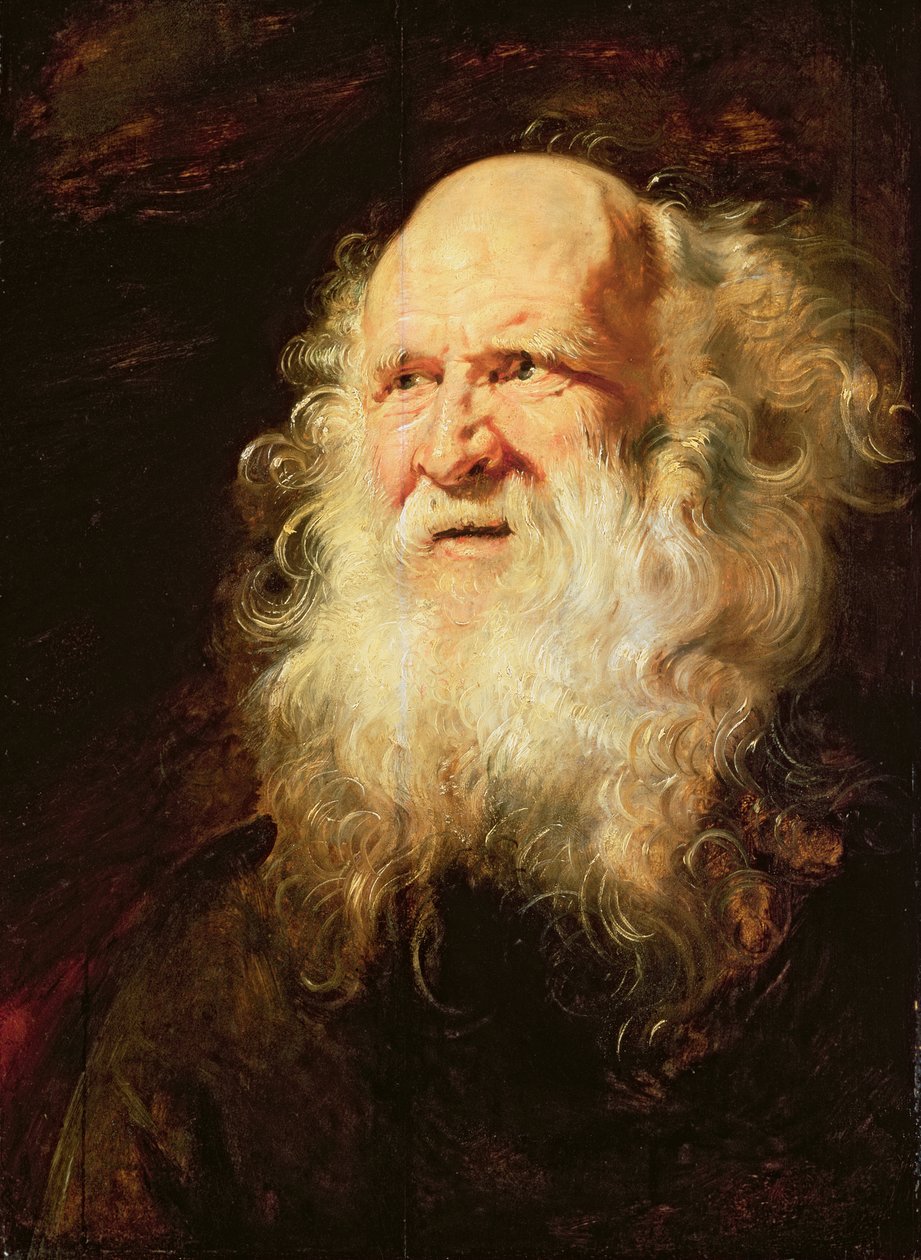 Estudo das cabeças de um homem velho, c.1612 de Peter Paul Rubens