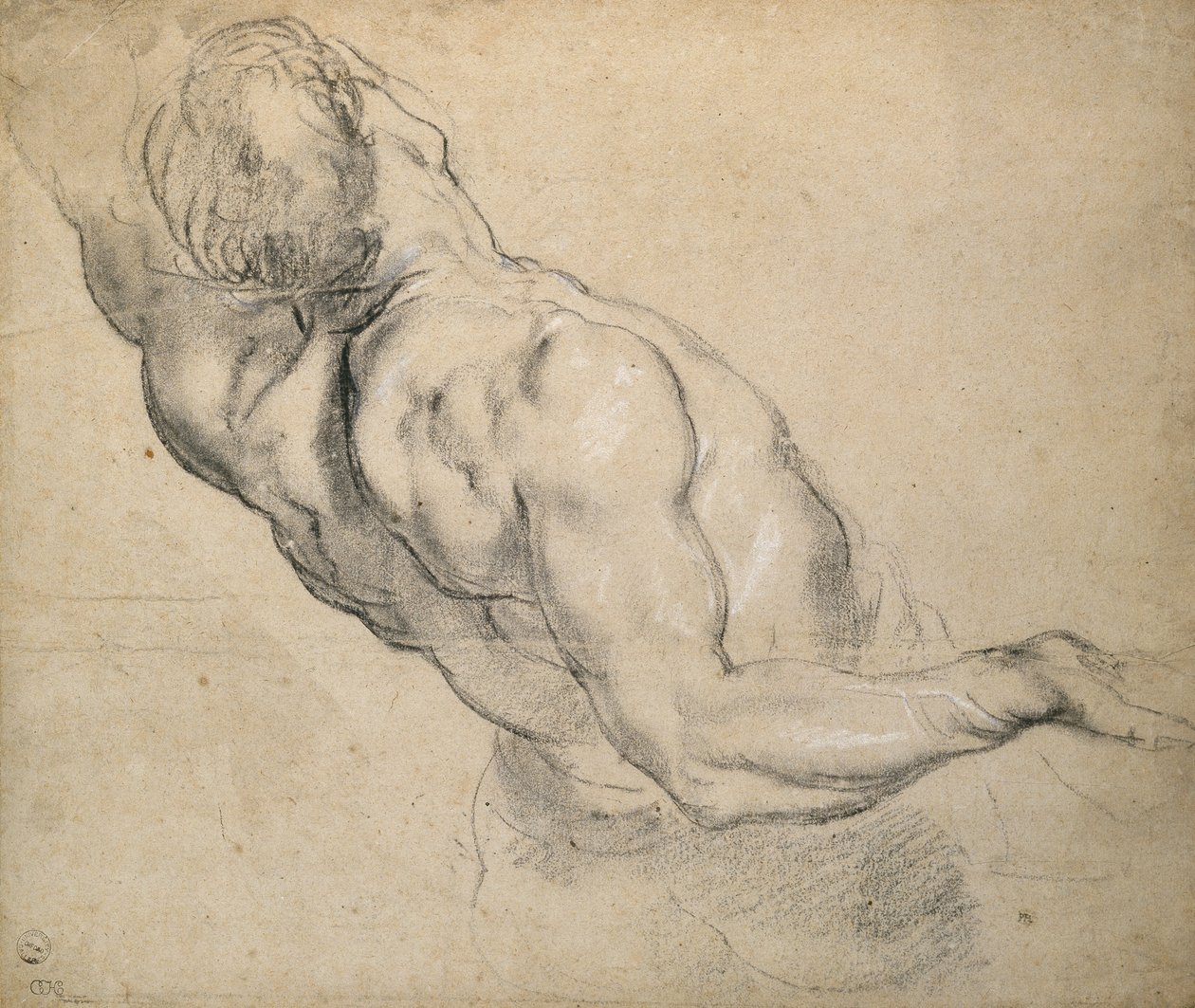 Estudo de um torso masculino nu de Peter Paul Rubens