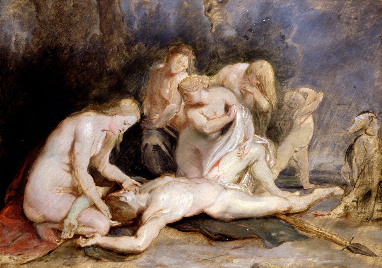Vênus luto Adonis de Peter Paul Rubens