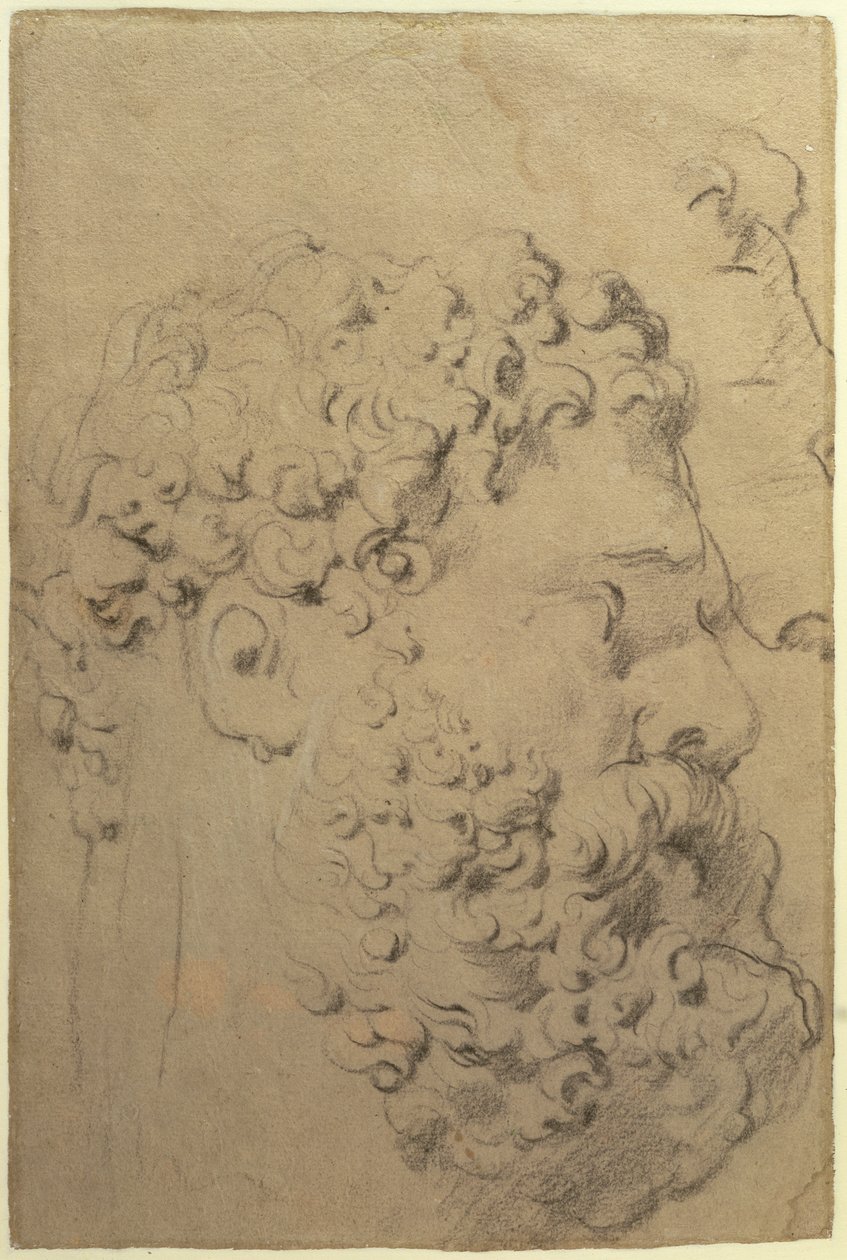 Estudos da cabeça e perfil do Hércules Farnese por Glycon, verso, 1606-08 (giz preto e branco sobre papel) de Peter Paul Rubens