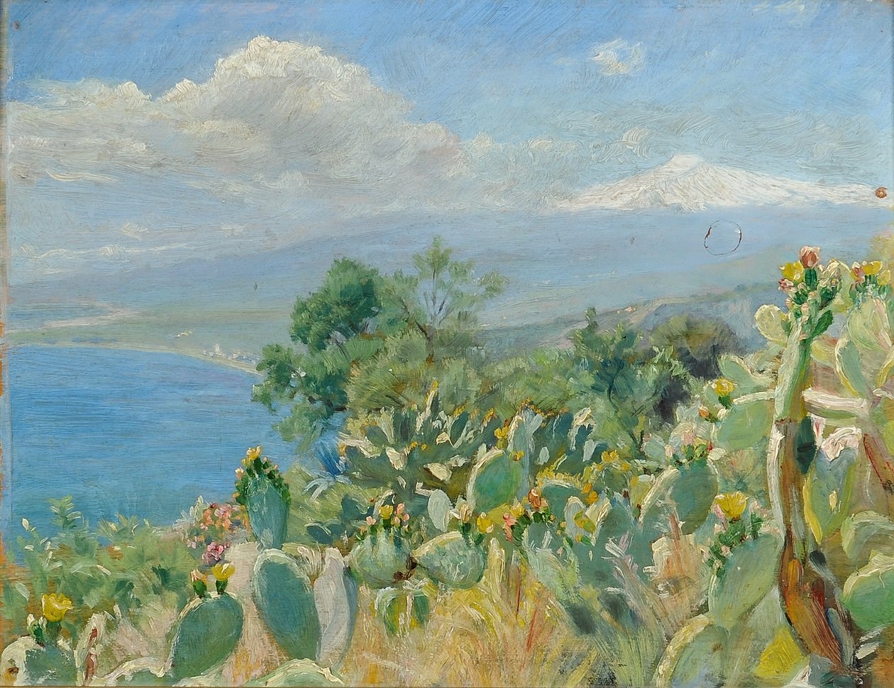 Cactos florescentes perto de Toarmina de Peder Severin Krøyer