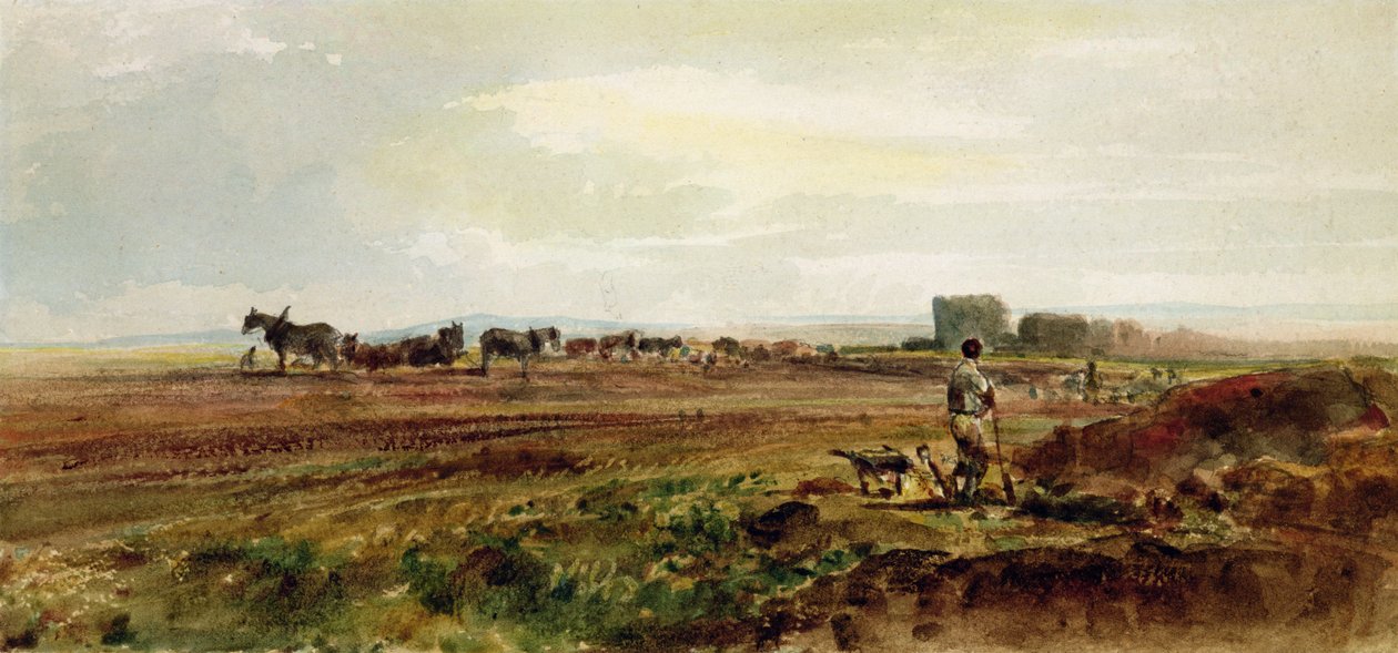 Lavrar a charneca, Lincolnshire (wc no papel) de Peter de Wint