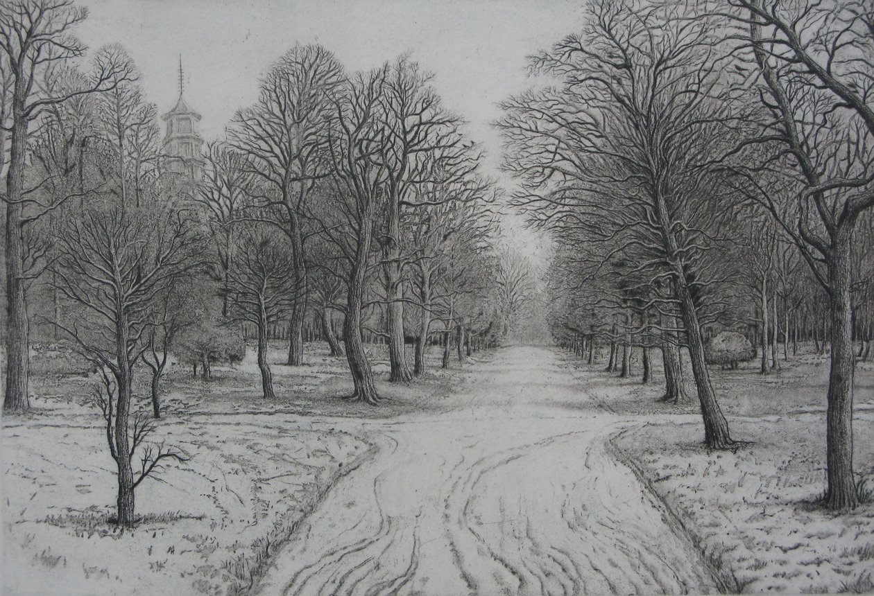 Jardins de Kew no inverno de Peter A Ford