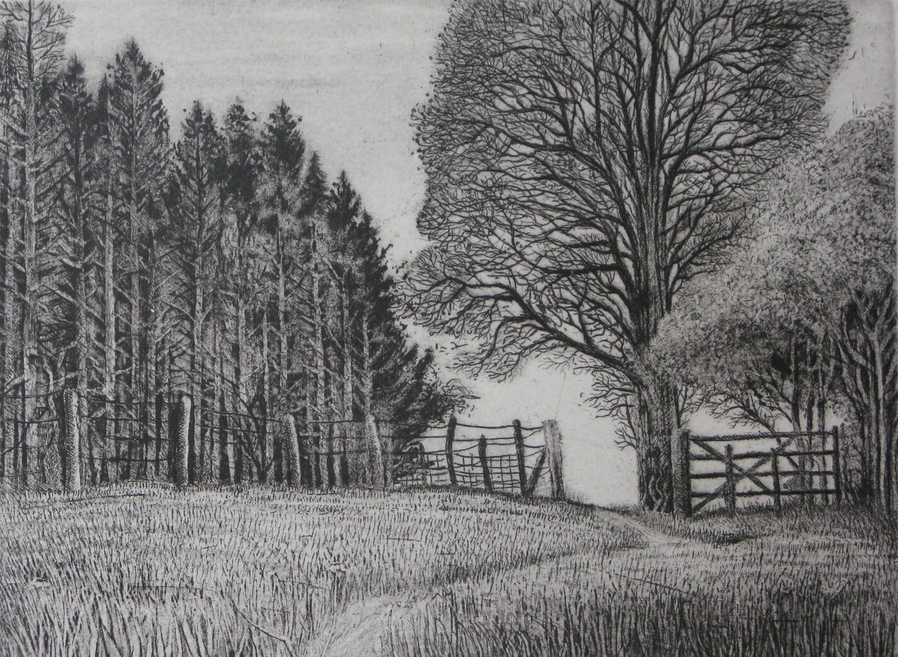 O Caminho da Floresta - primavera de Peter A Ford