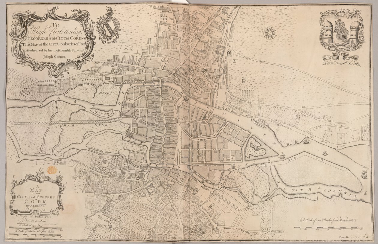 Um mapa da cidade e dos subúrbios de Cork de Peter Butler