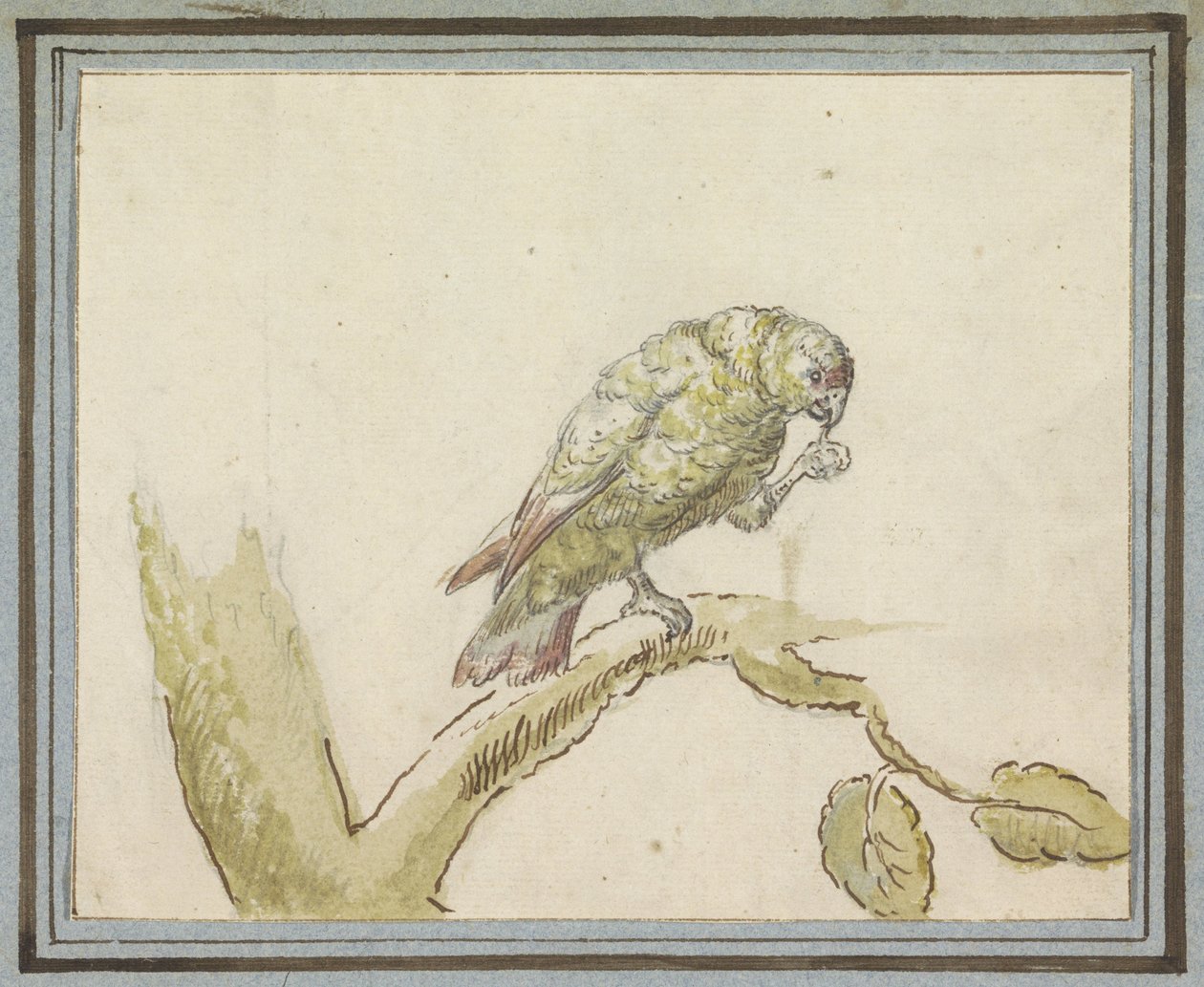 Papagaio em um galho de uma árvore de Peter Casteels (III)