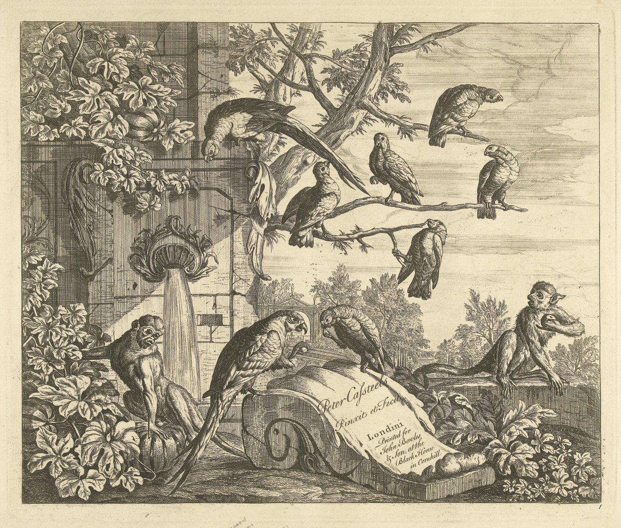 Papagaios e macacos em uma fonte de jardim Pássaros diferentes (título da série) de Peter Casteels (III)