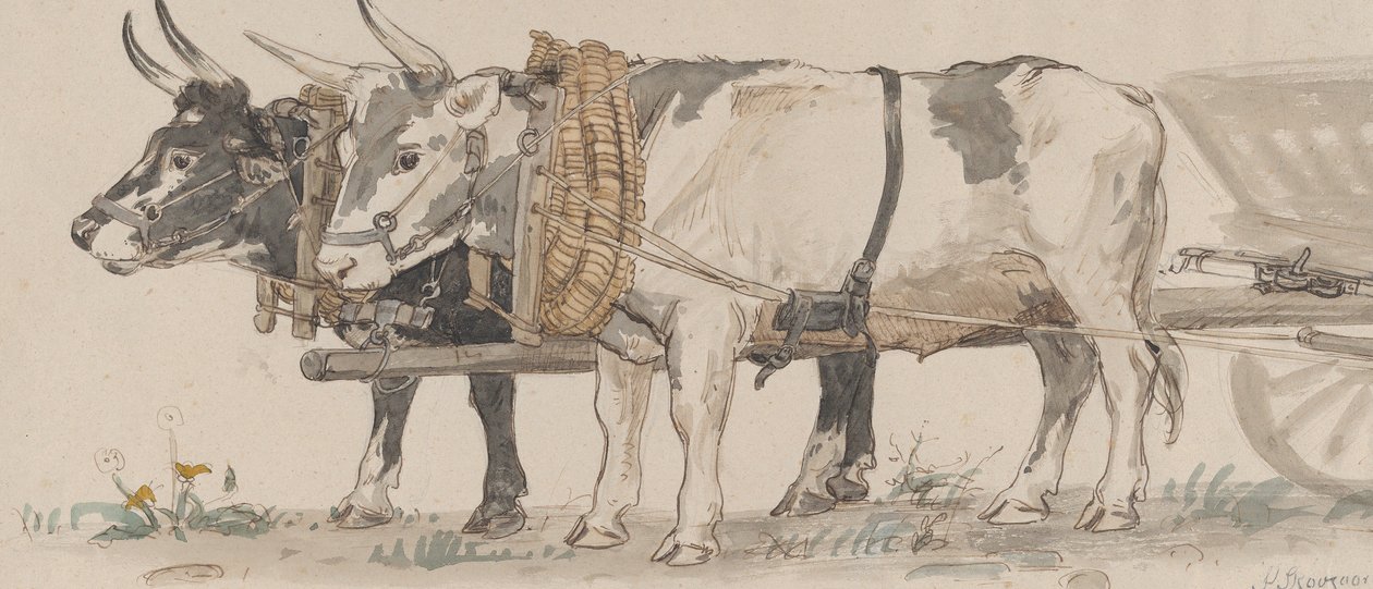 Dois bois puxando um carrinho, 1874. de Peter Christian Thamsen Skovgaard