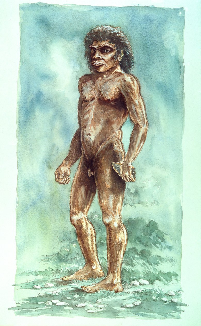 Boxgrove Man, Pré-histórico, 1990-2010 de Peter Dunn