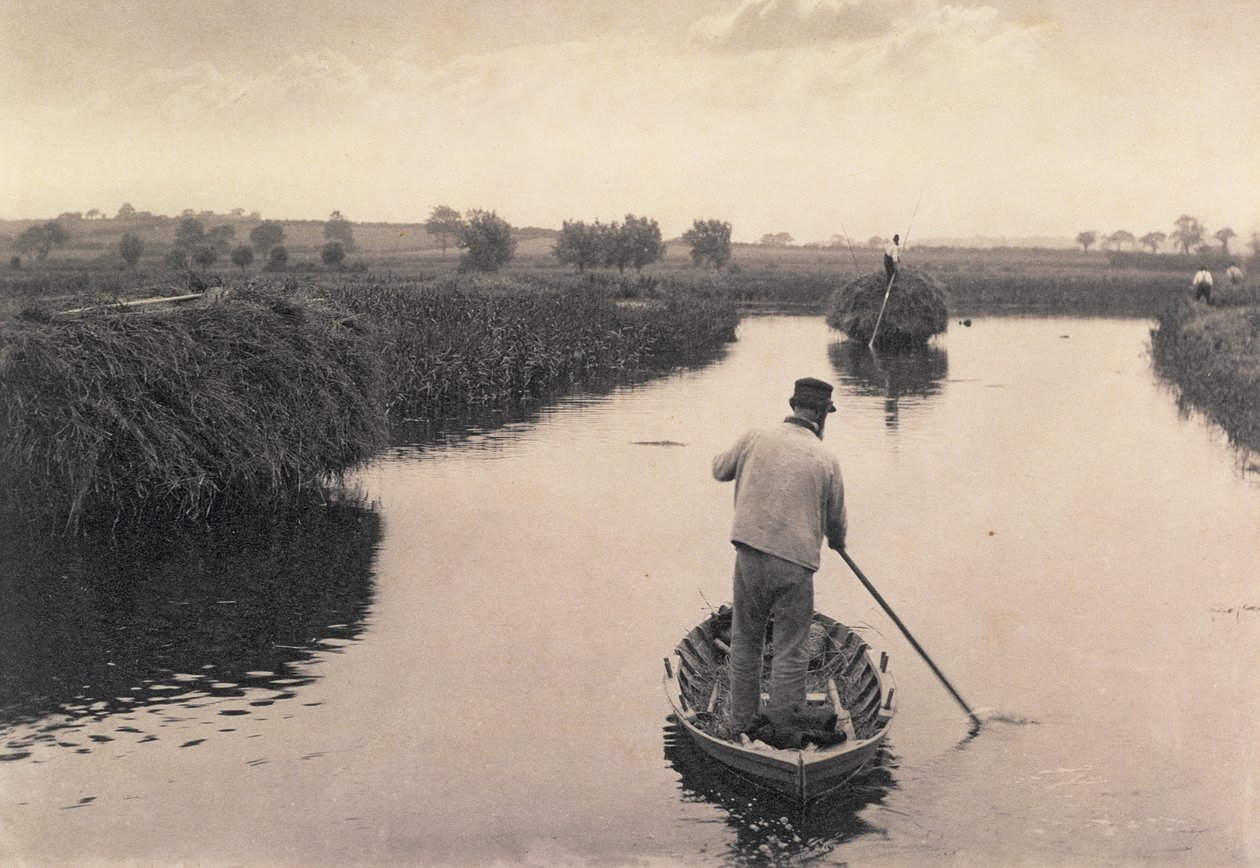 Recolhendo o feno do pântano, a vida e a paisagem nos Broads de Norfolk, c.1886 de Peter Emerson und Thomas Goodall