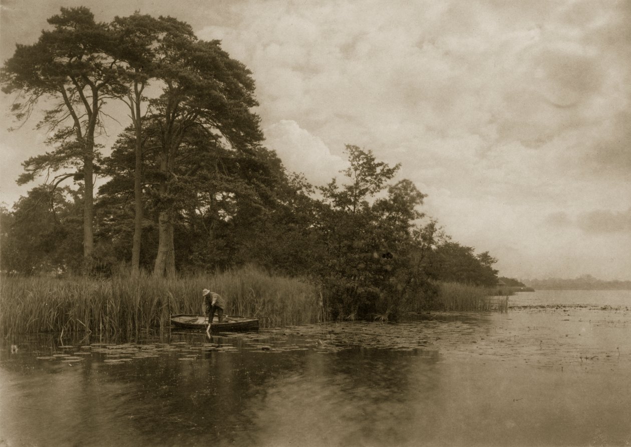 O Assombrado do Pike, c.1886 de Peter Emerson und Thomas Goodall