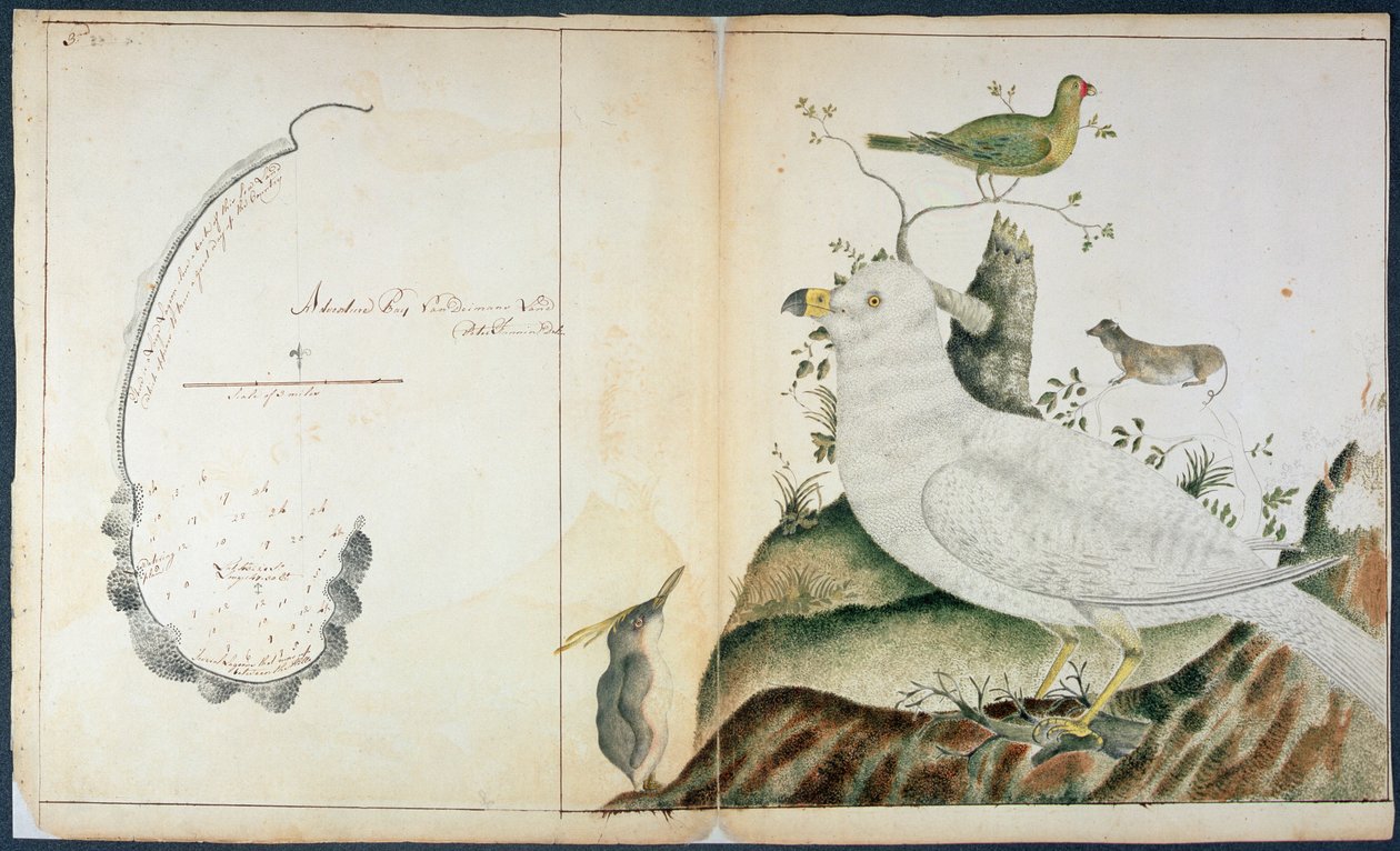 Mapa da Baía de Aventura, Van Dieman