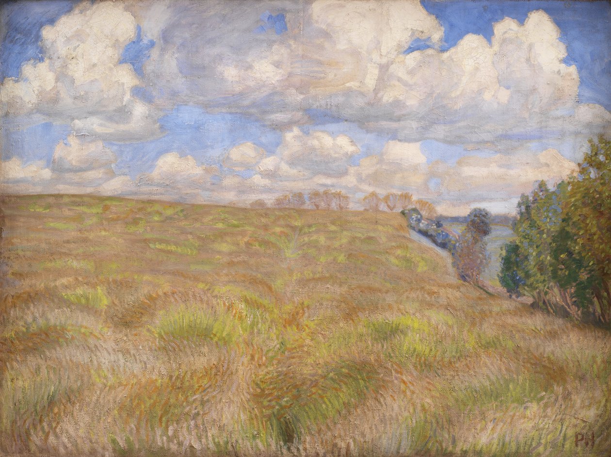 Um campo de centeio ondulante de Peter Hansen