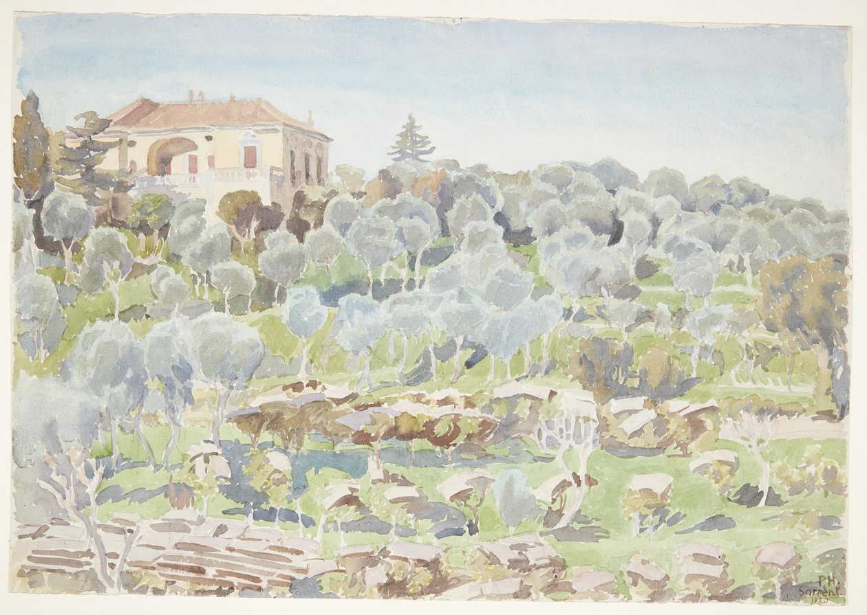Montanha com oliveiras e uma villa de Peter Hansen