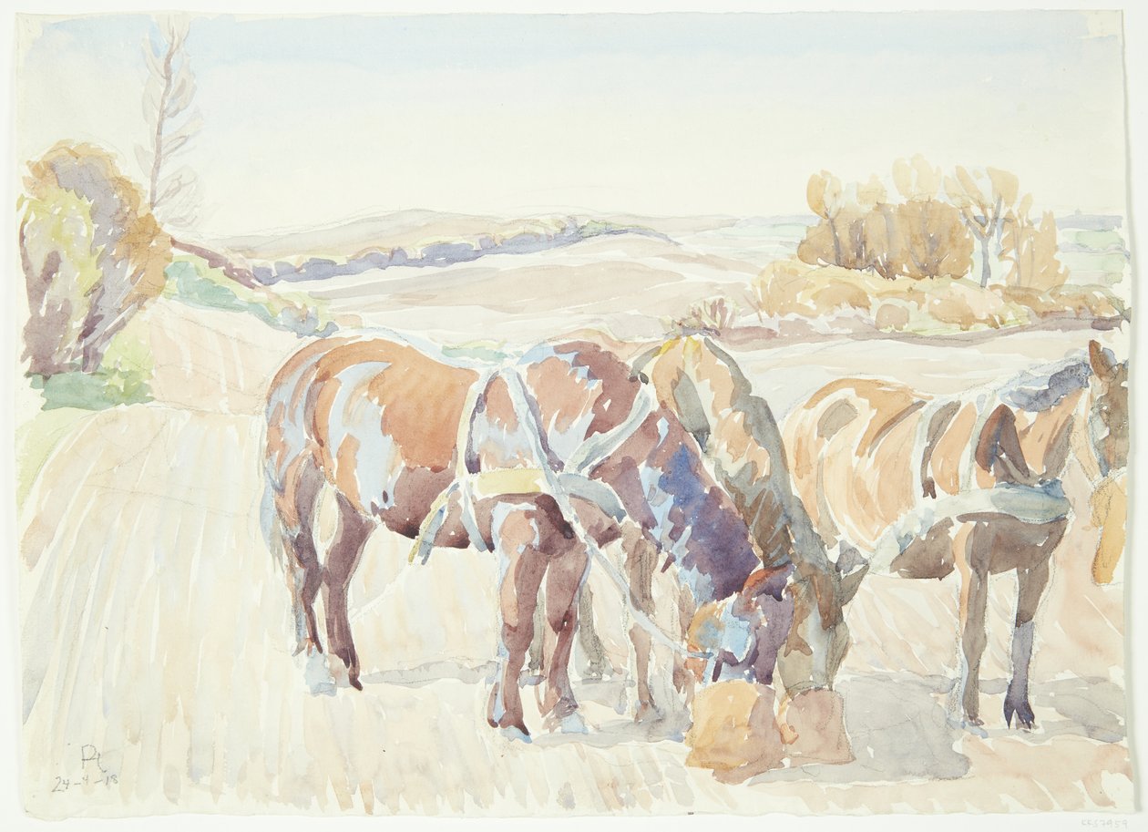 Cavalos no campo de Peter Hansen