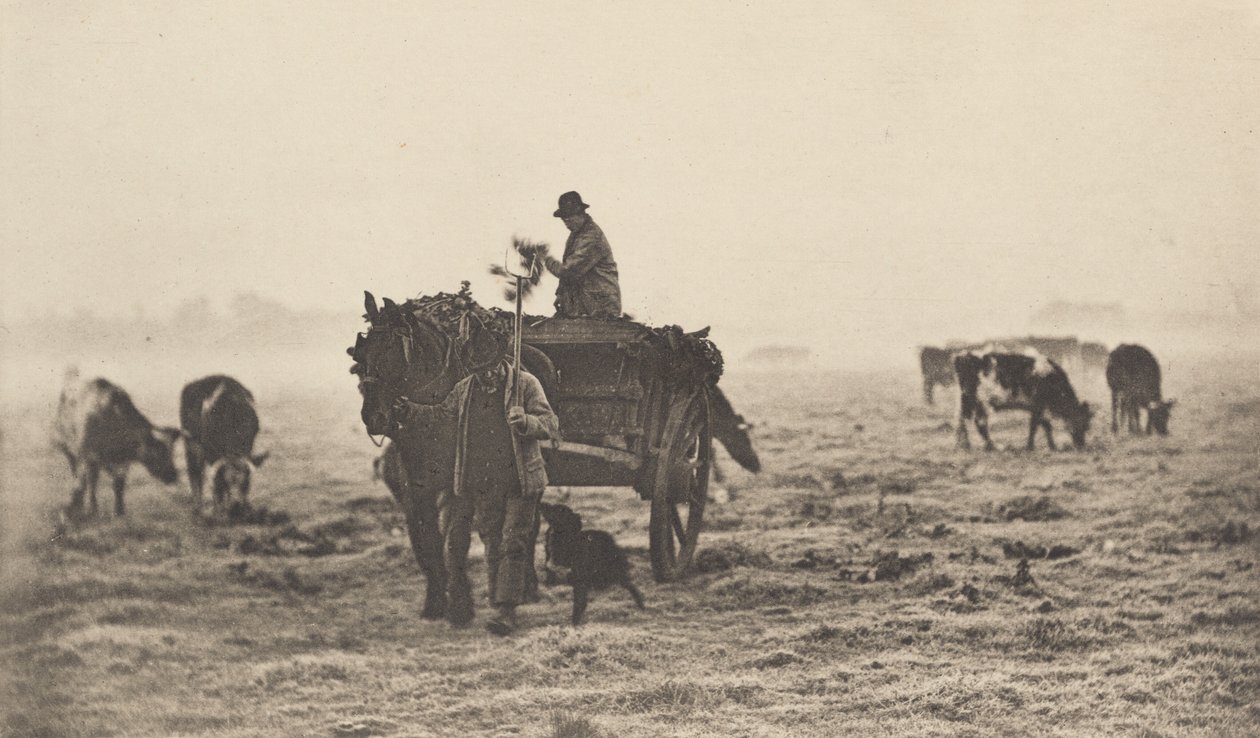 Uma manhã gelada de Peter Henry Emerson