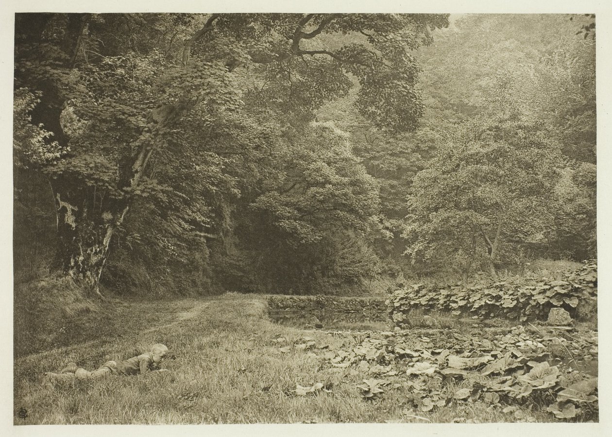 Um recanto tranquilo em Beresford Dale de Peter Henry Emerson