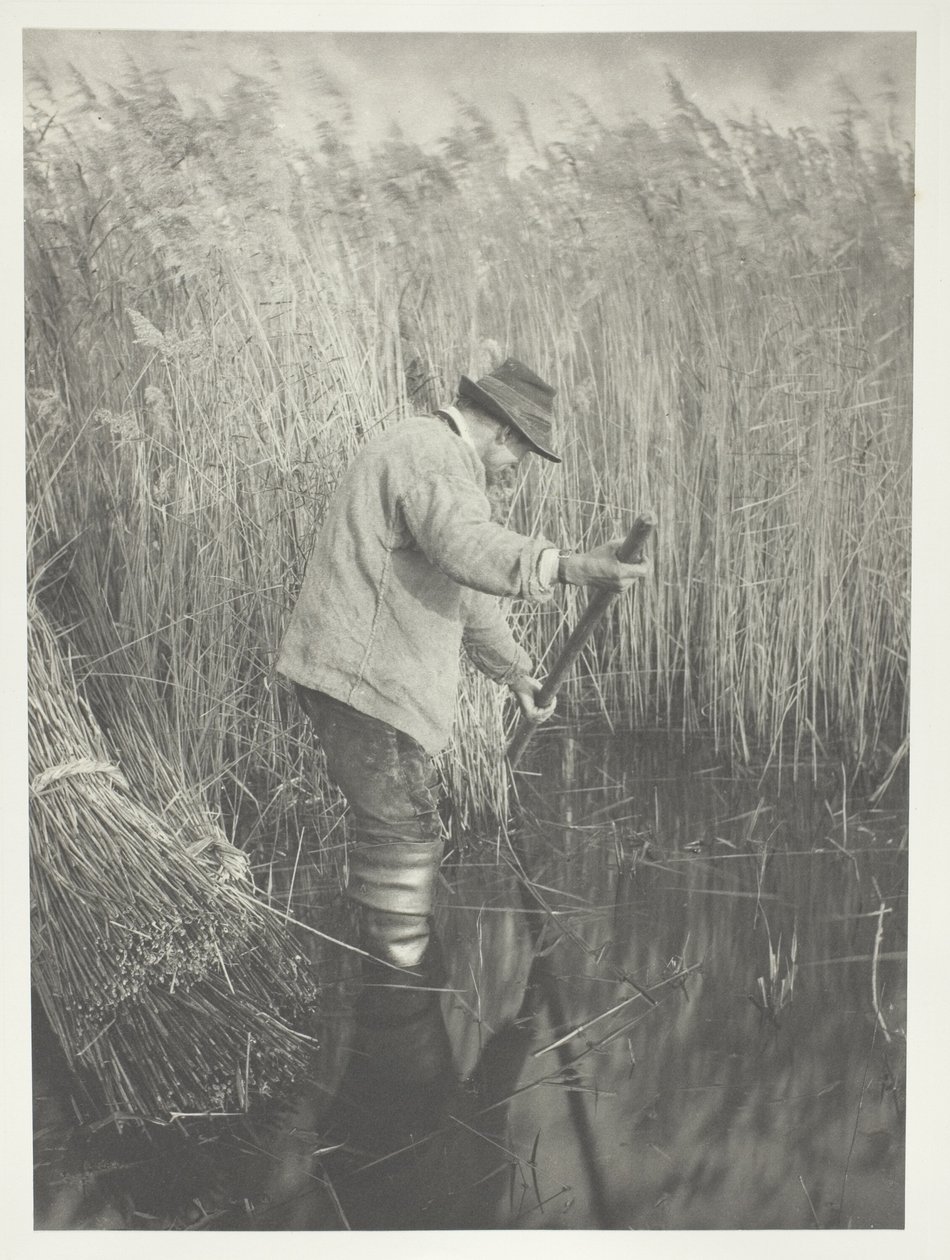 Um cortador de cana a trabalhar de Peter Henry Emerson