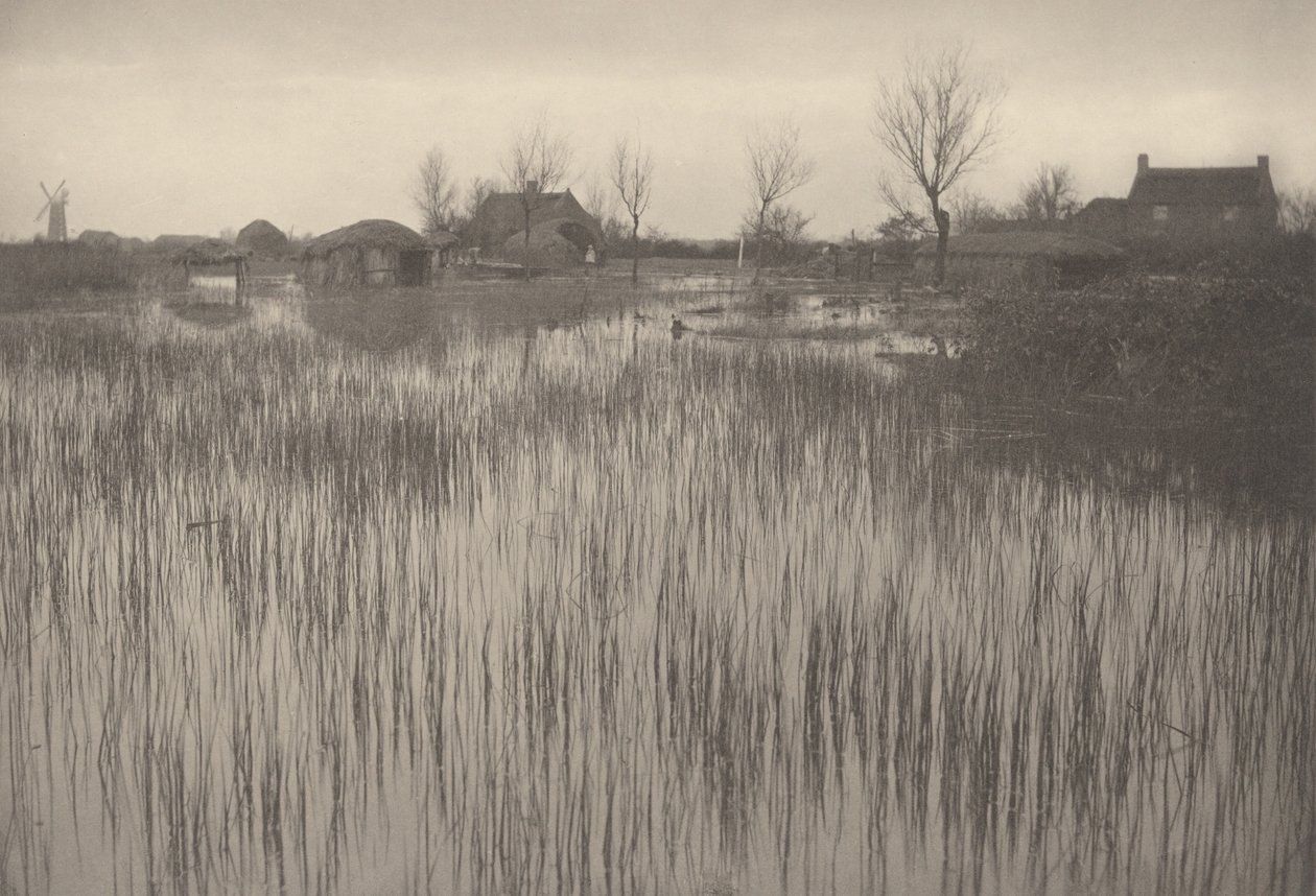 A Rushy Shore,1886 (foto) de Peter Henry Emerson