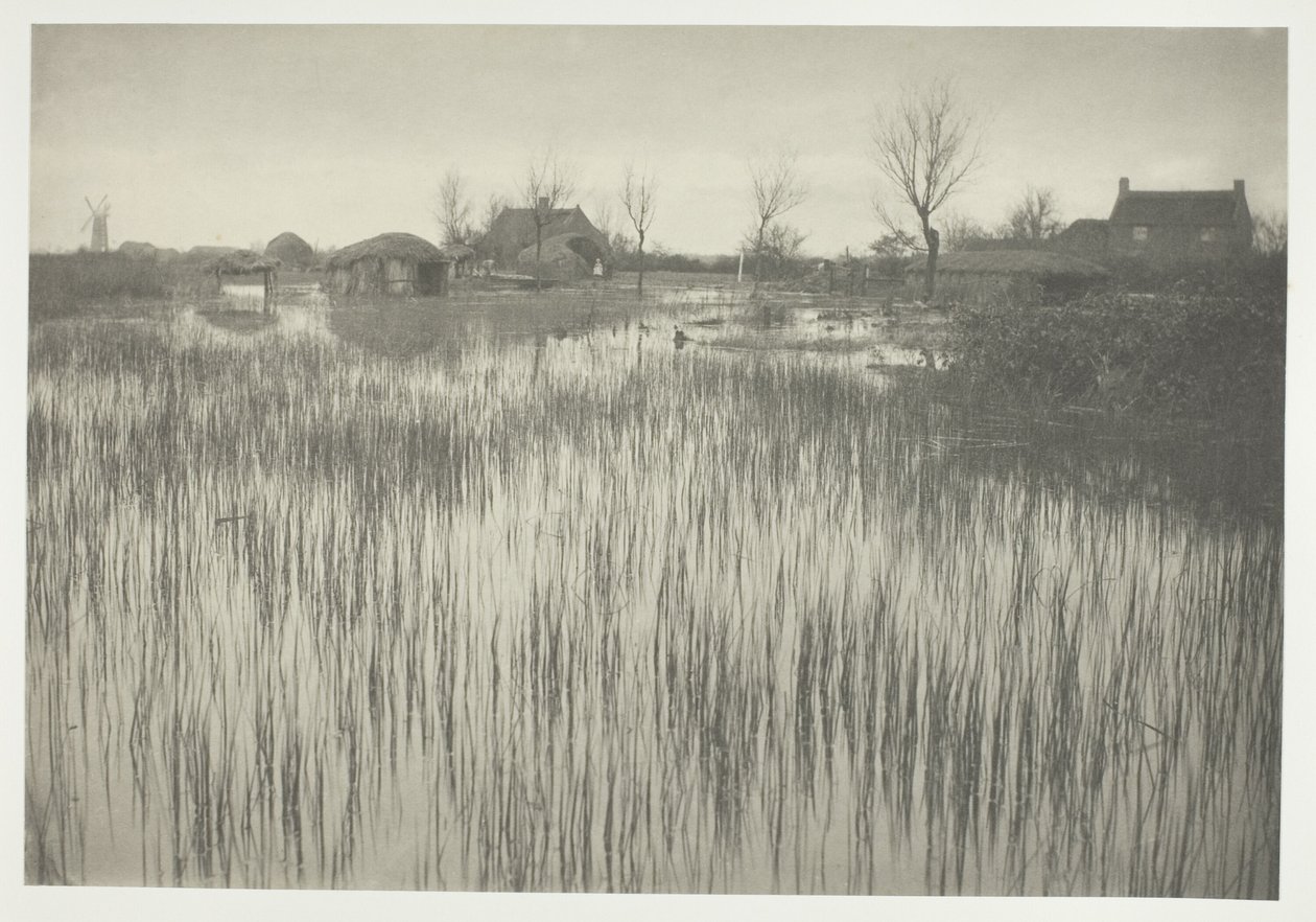 Uma costa de junco de Peter Henry Emerson