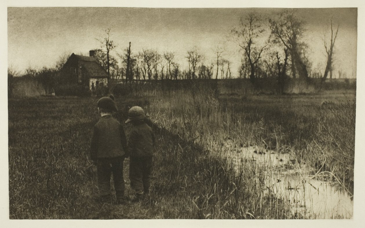 Um sapo no caminho: início da primavera em Norfolk de Peter Henry Emerson