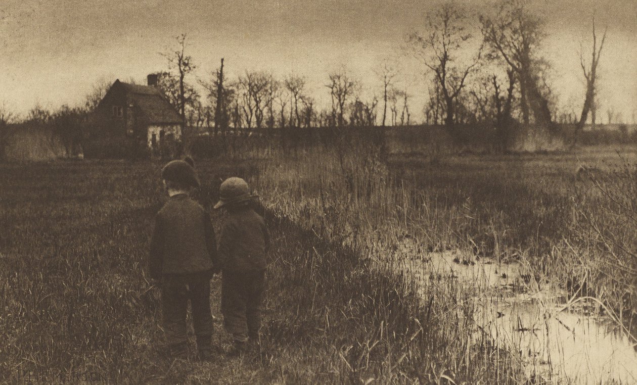 Um sapo no caminho: início da primavera em Norfolk de Peter Henry Emerson