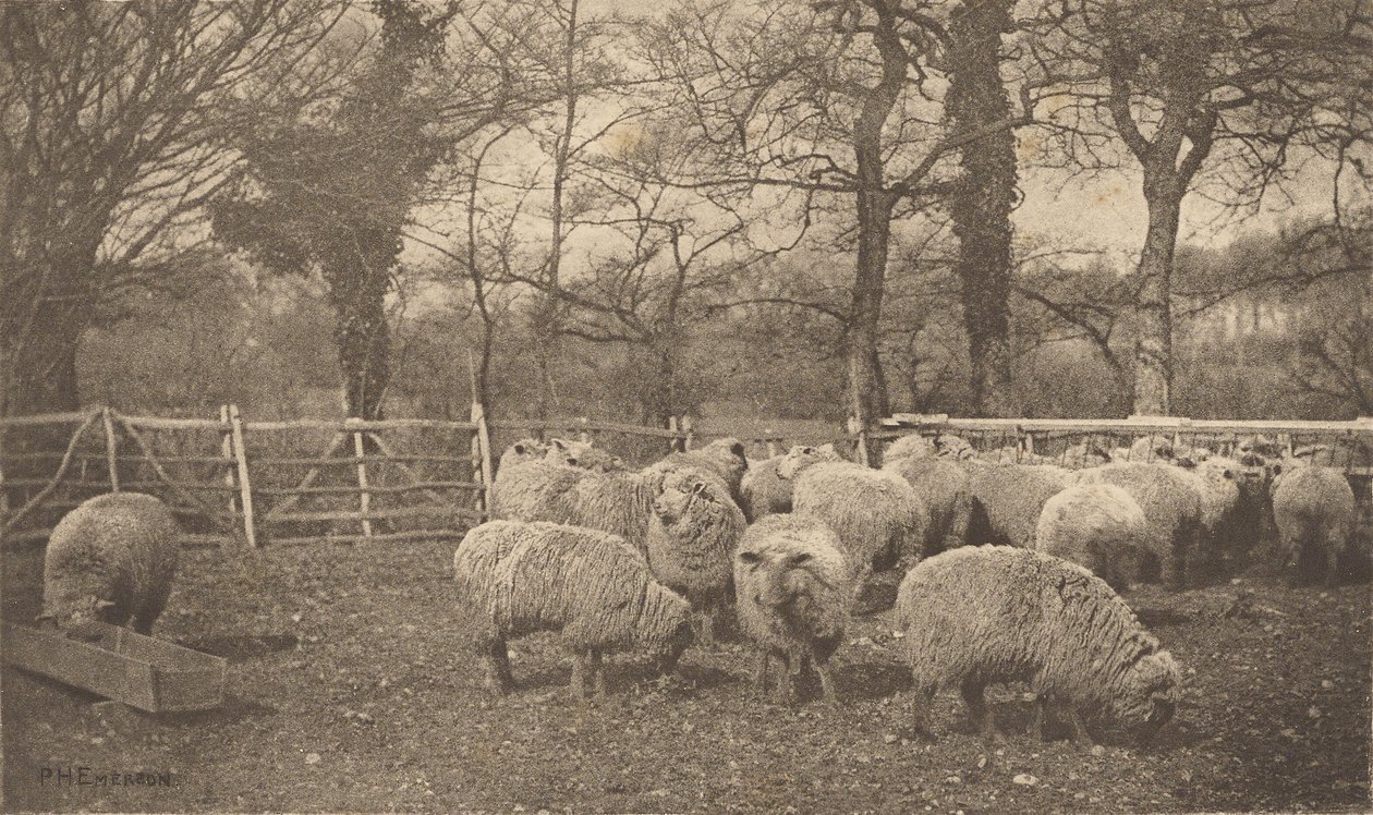 Uma pastoral de outono de Peter Henry Emerson