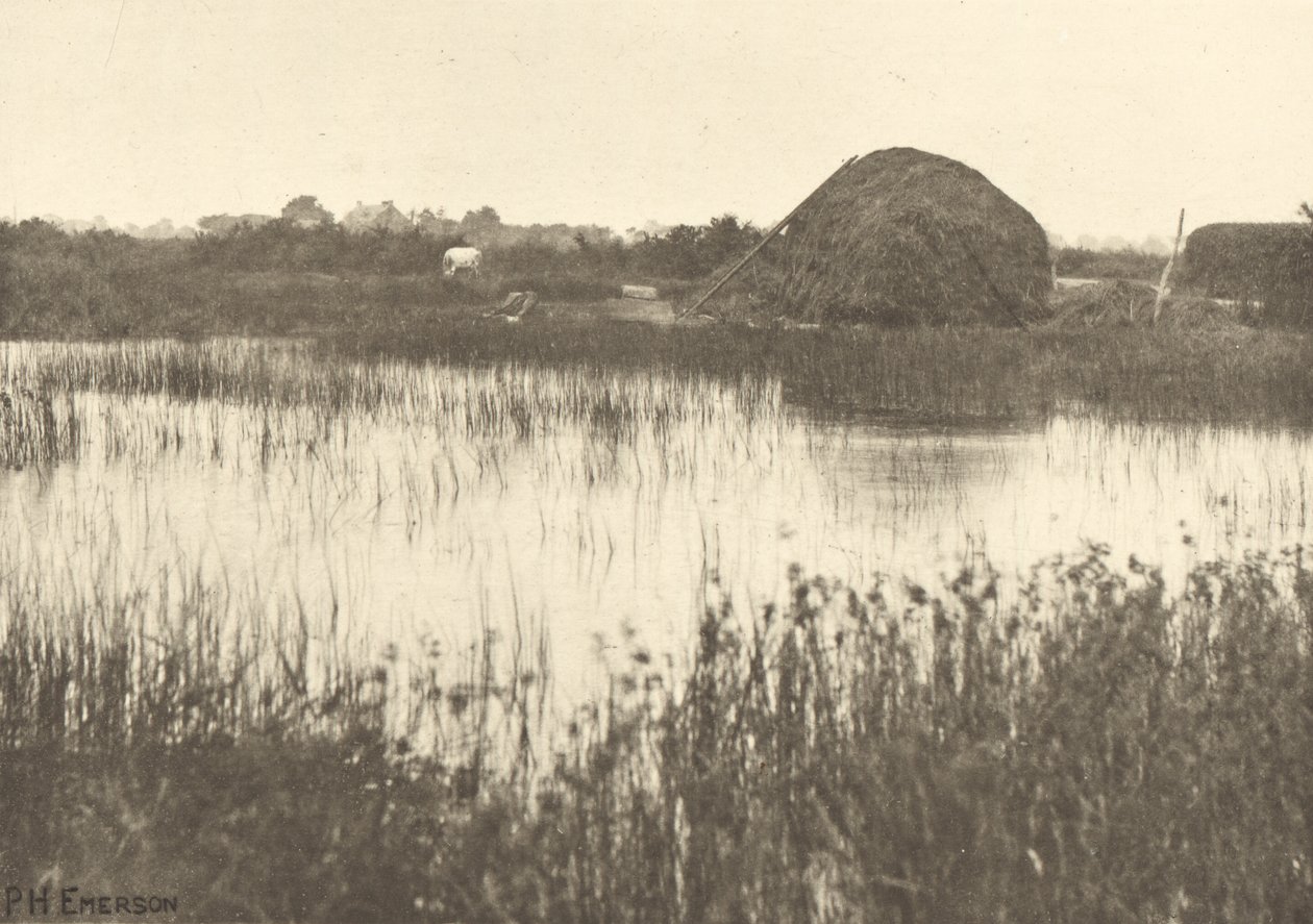 Inundações de outono de Peter Henry Emerson