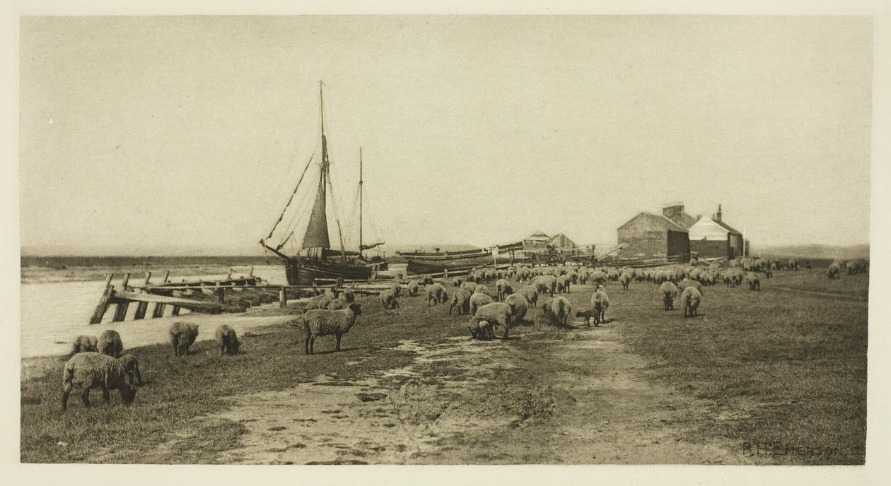 Costa Negra, Rio Blythe (Suffolk) de Peter Henry Emerson