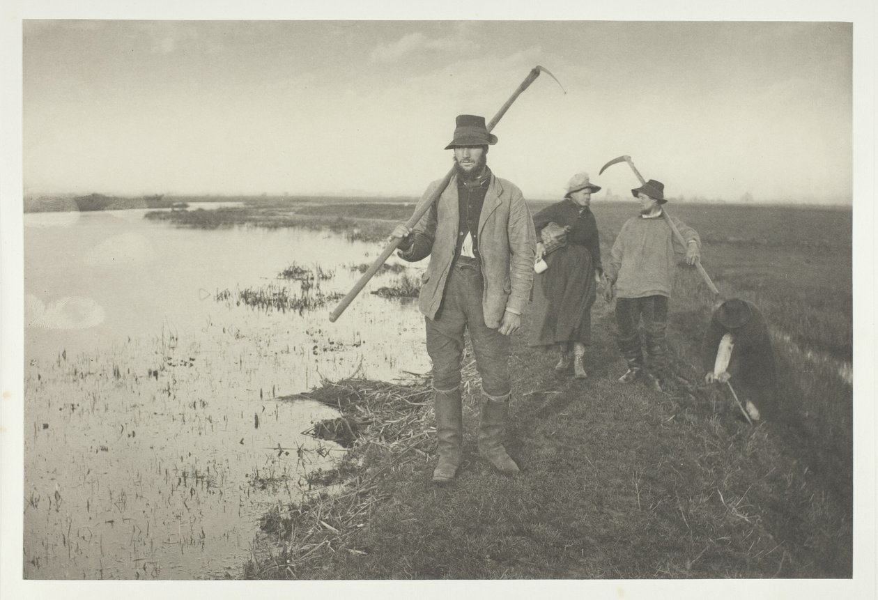 Regressar a casa dos pântanos de Peter Henry Emerson
