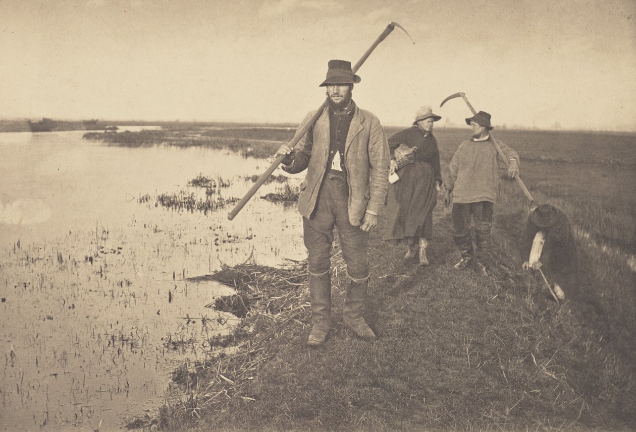 Regresso a casa dos pântanos de Peter Henry Emerson
