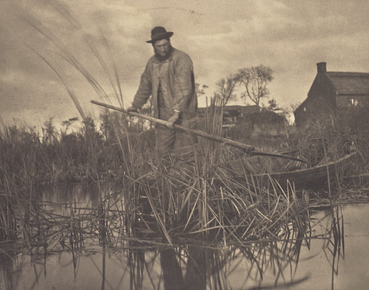 Corte do Gladdon de Peter Henry Emerson