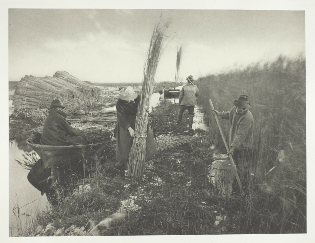 Durante a colheita das canas de Peter Henry Emerson