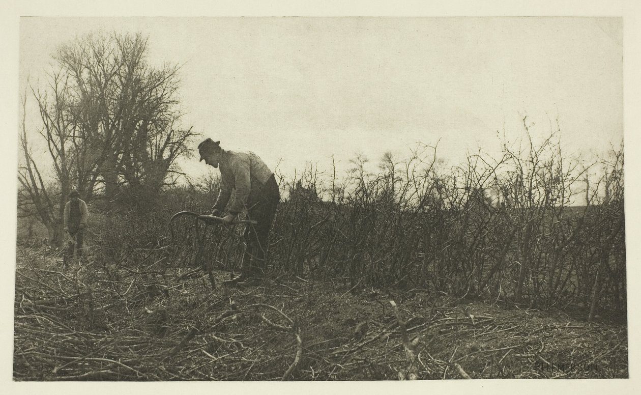 Esgrima em Suffolk de Peter Henry Emerson