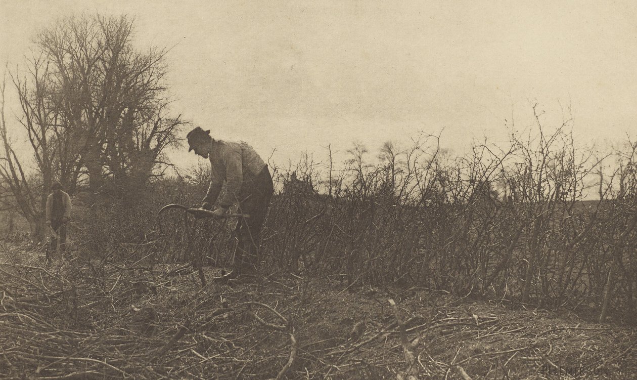 Vedações em Suffolk de Peter Henry Emerson