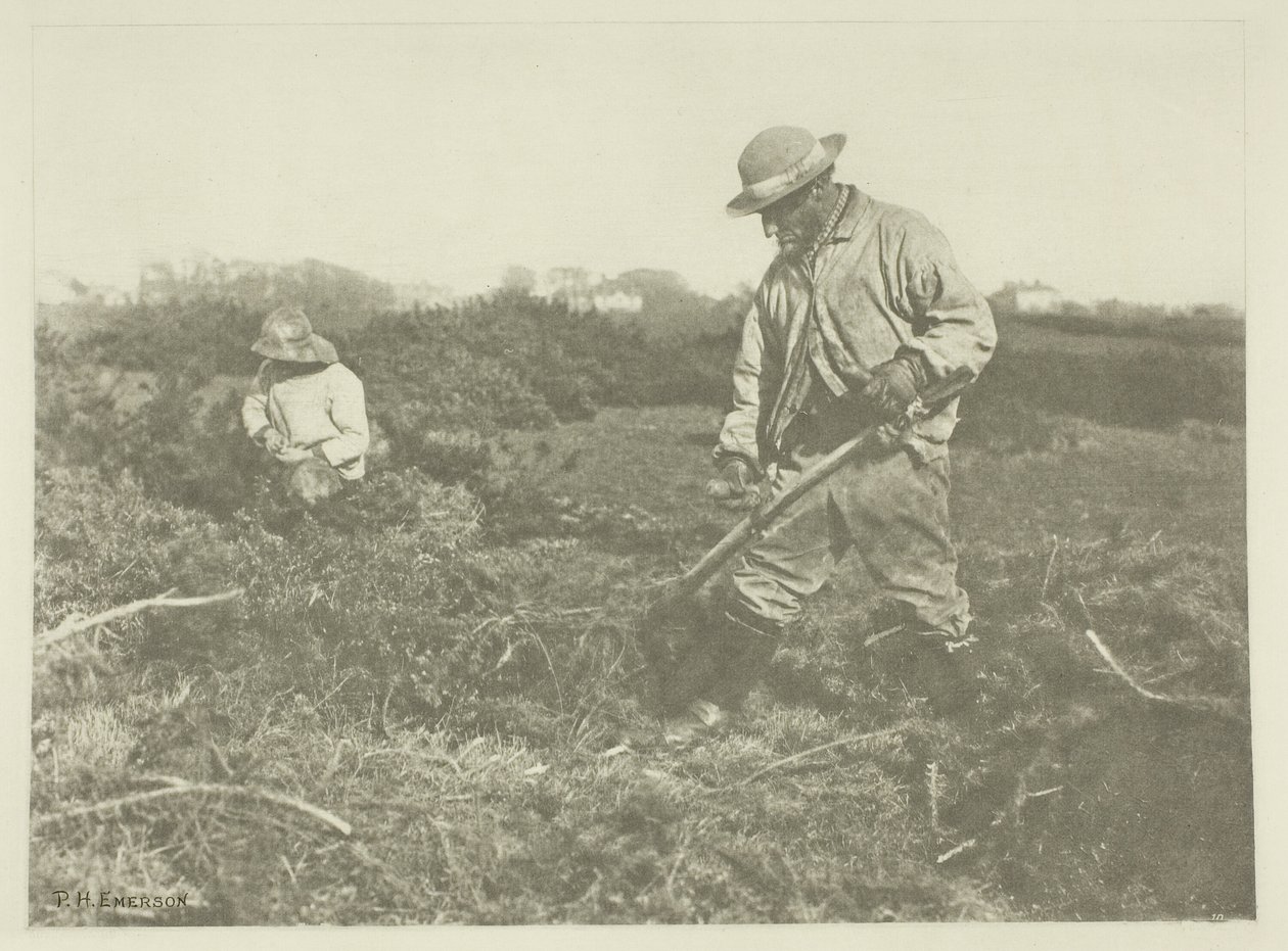 Corte de Furze em um Suffolk Common de Peter Henry Emerson