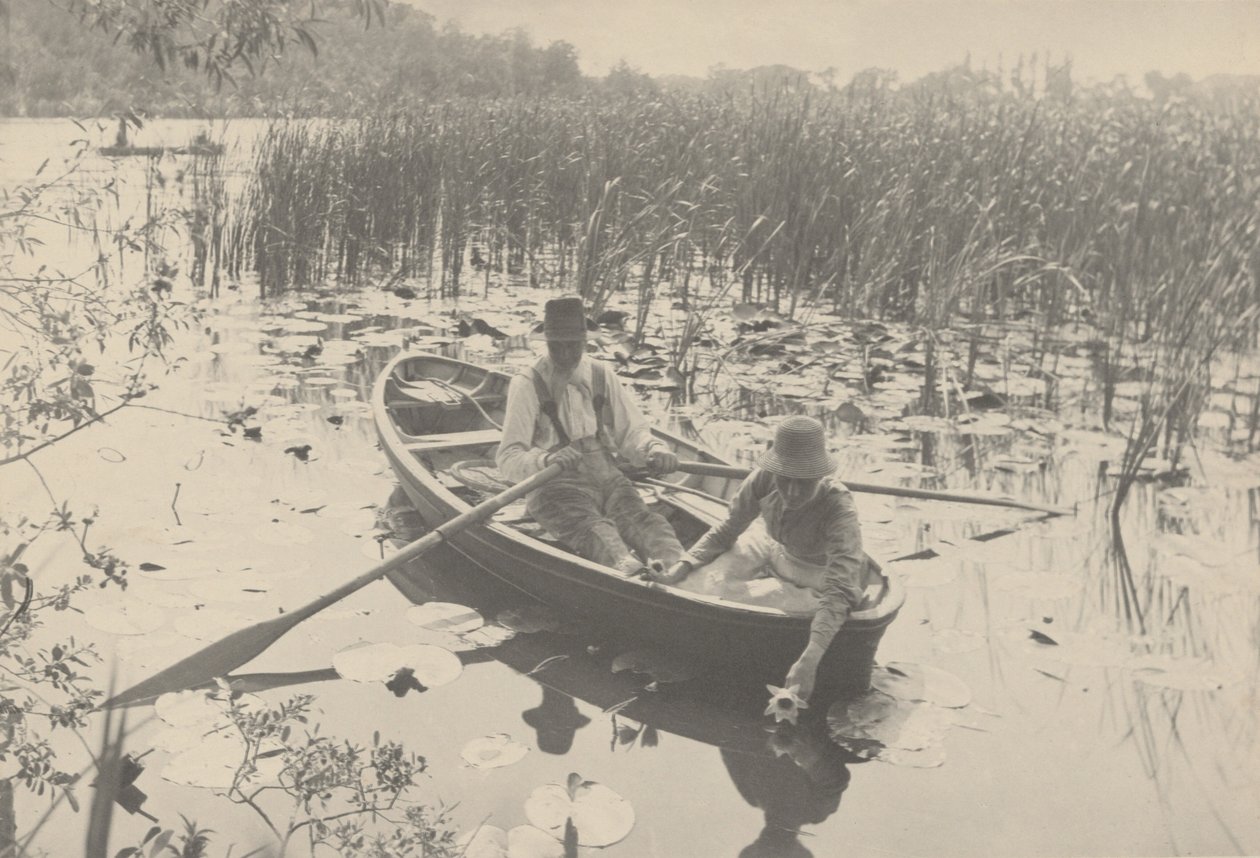 Colheita de nenúfares, 1886 (foto) de Peter Henry Emerson