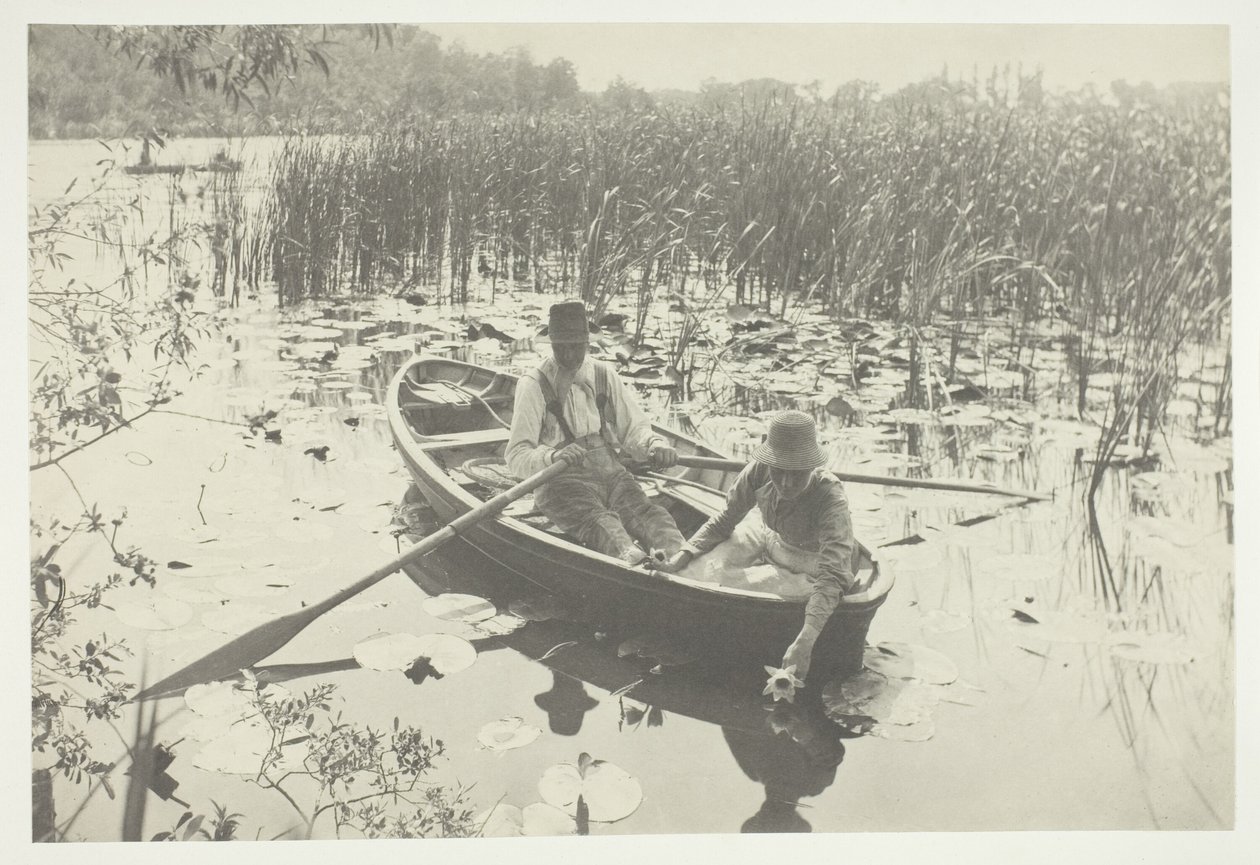 Colhendo Nenúfares de Peter Henry Emerson