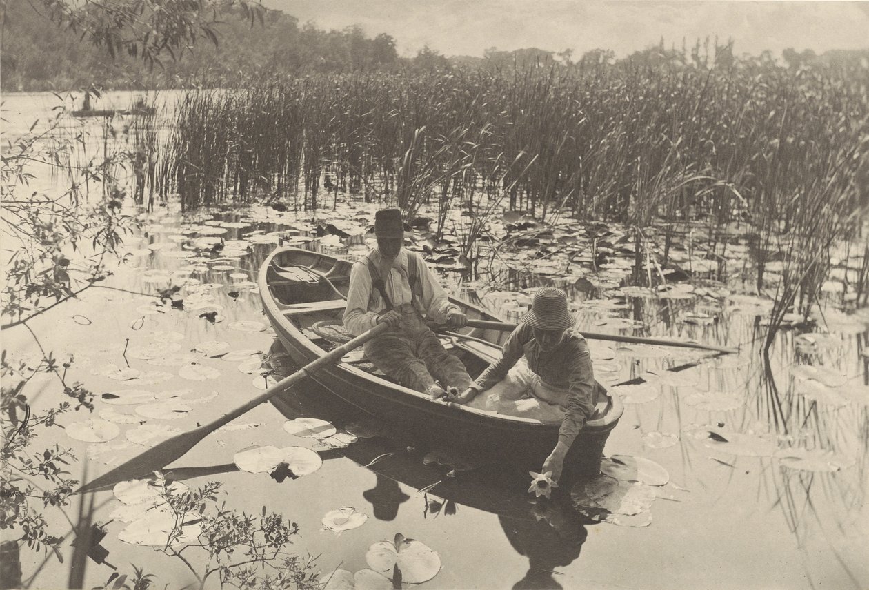 Recolha de nenúfares de Peter Henry Emerson