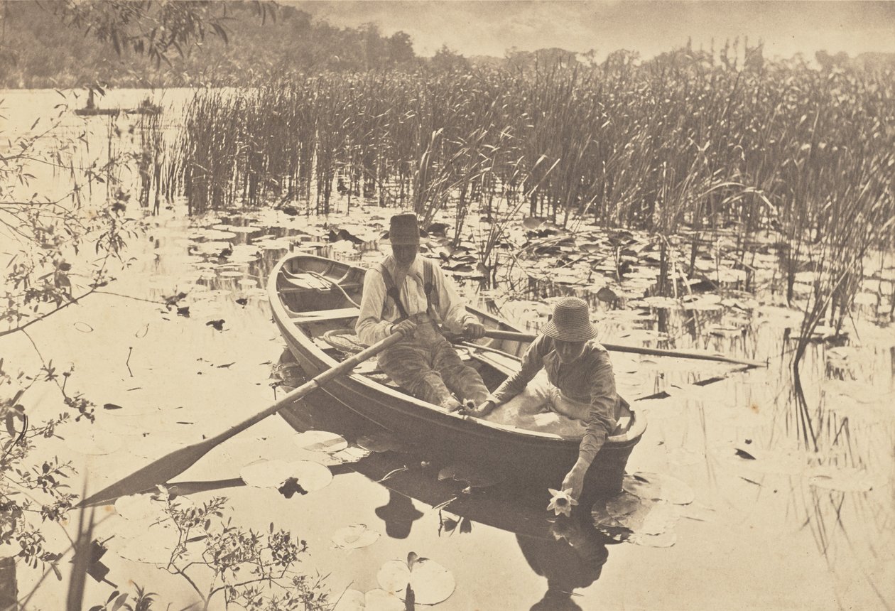 Apanha de nenúfares de Peter Henry Emerson