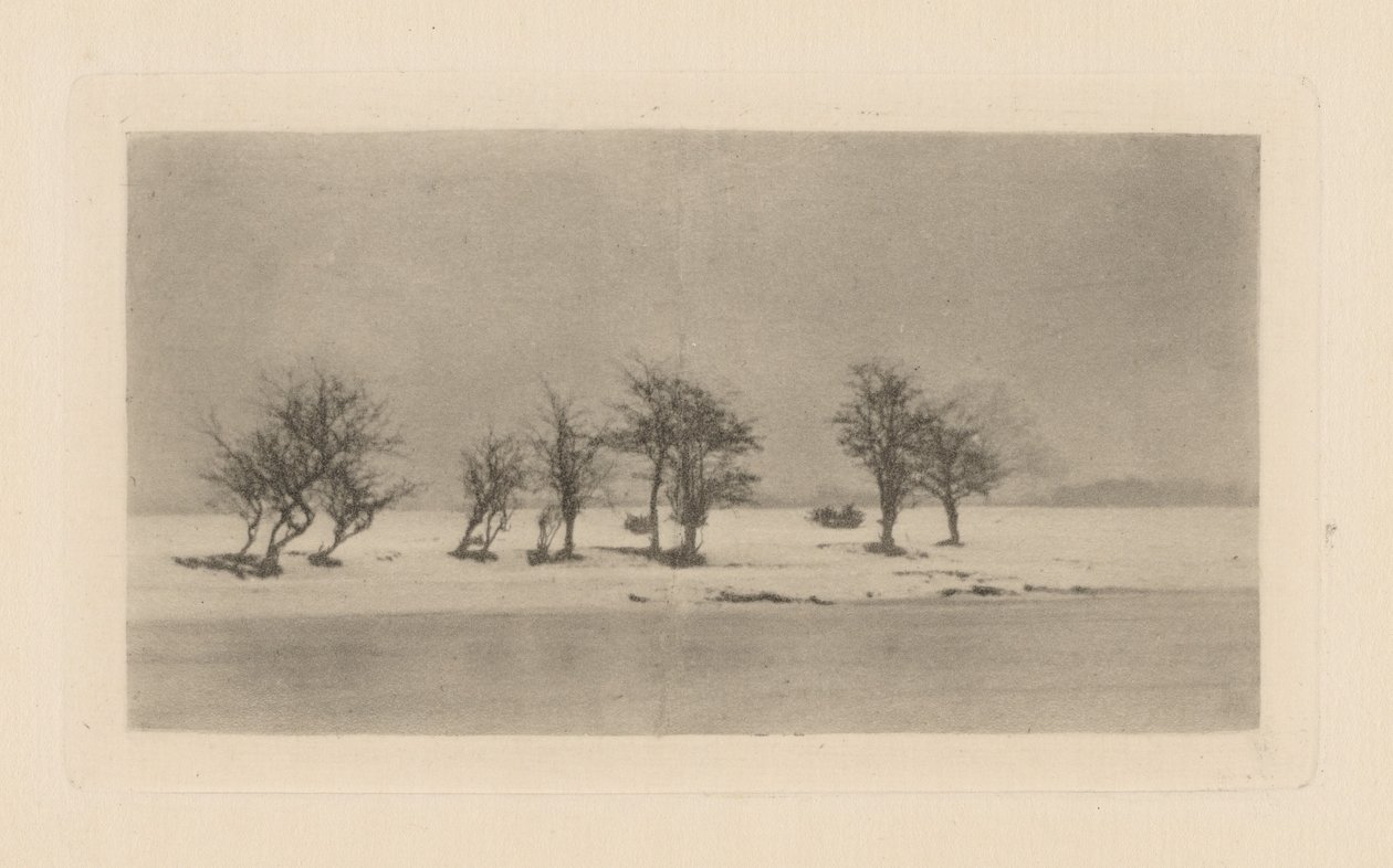 Espinheiros Retorcidos de Peter Henry Emerson