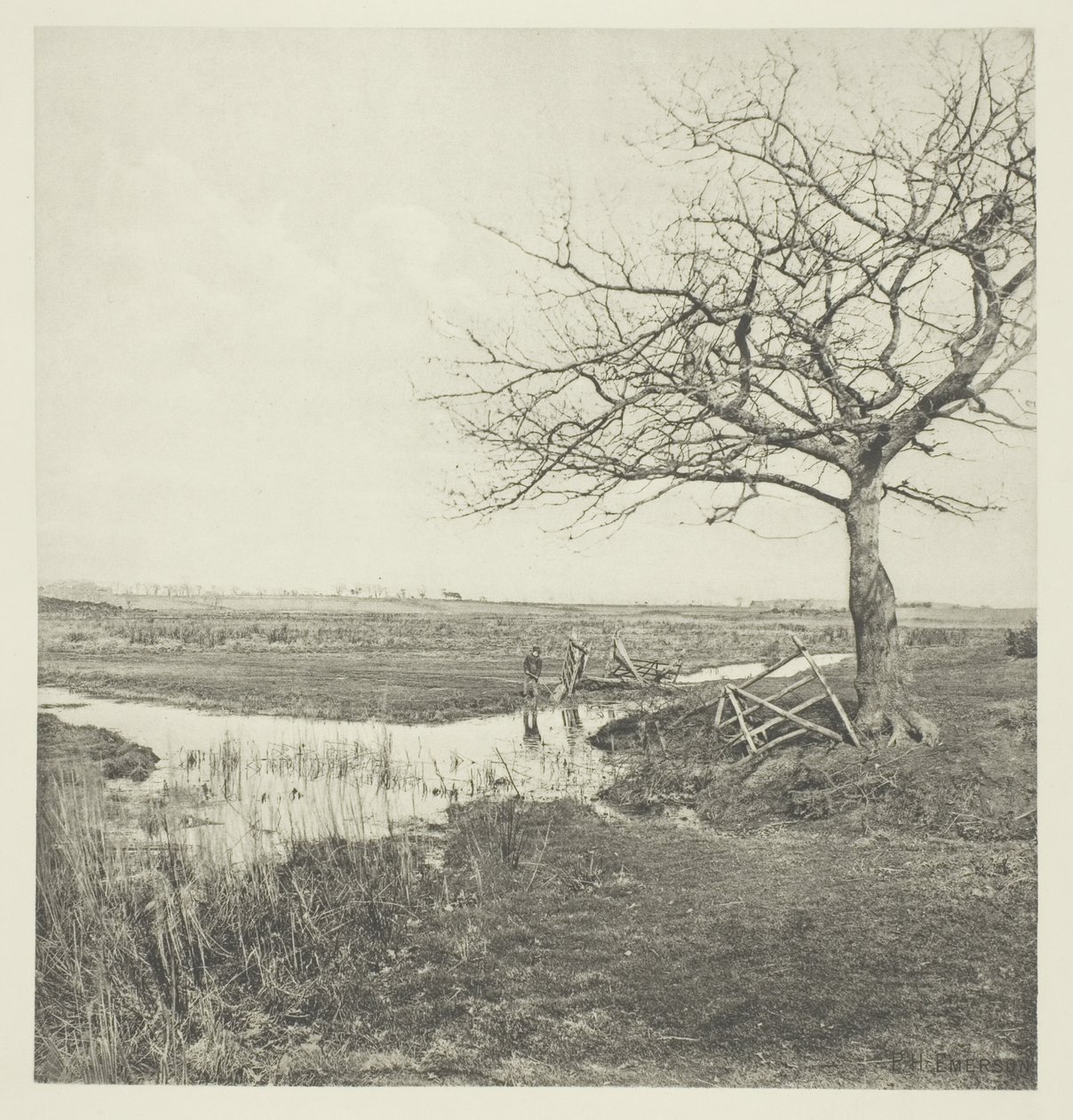 Marcha Sem Folhas (Suffolk) de Peter Henry Emerson