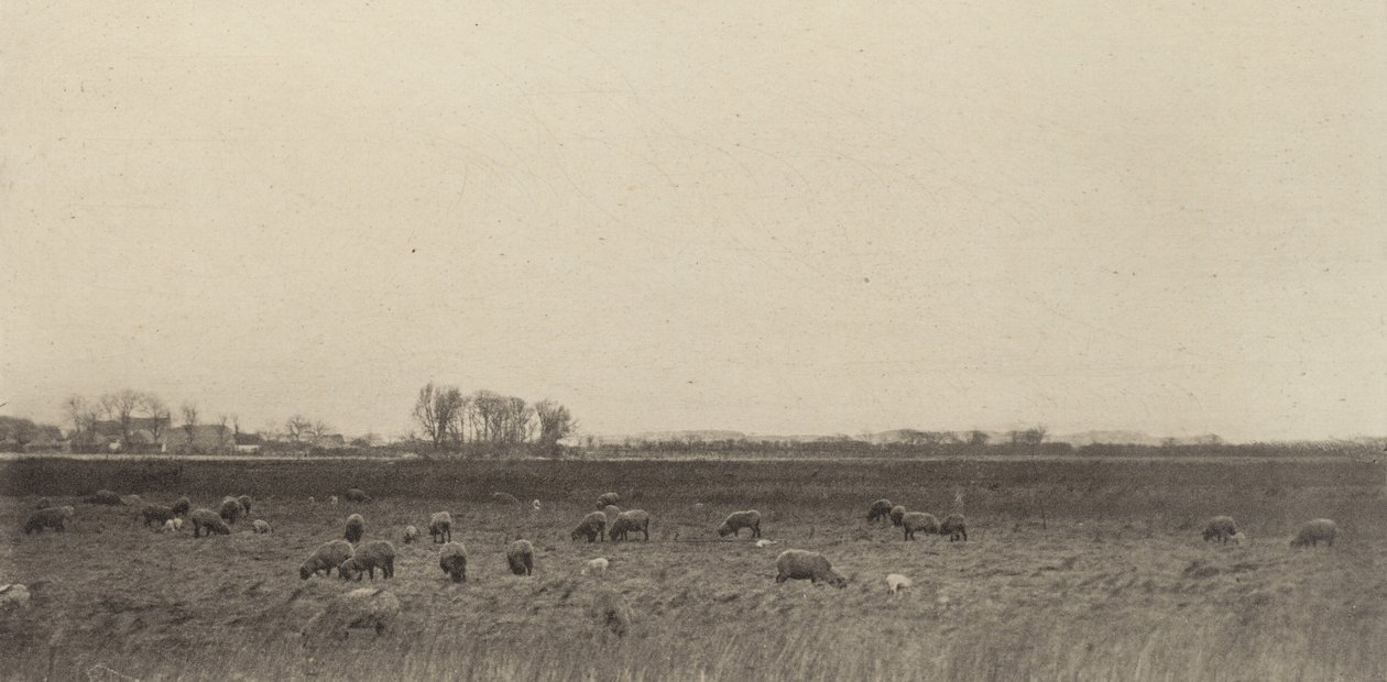 Marshes by the North Sea de Peter Henry Emerson