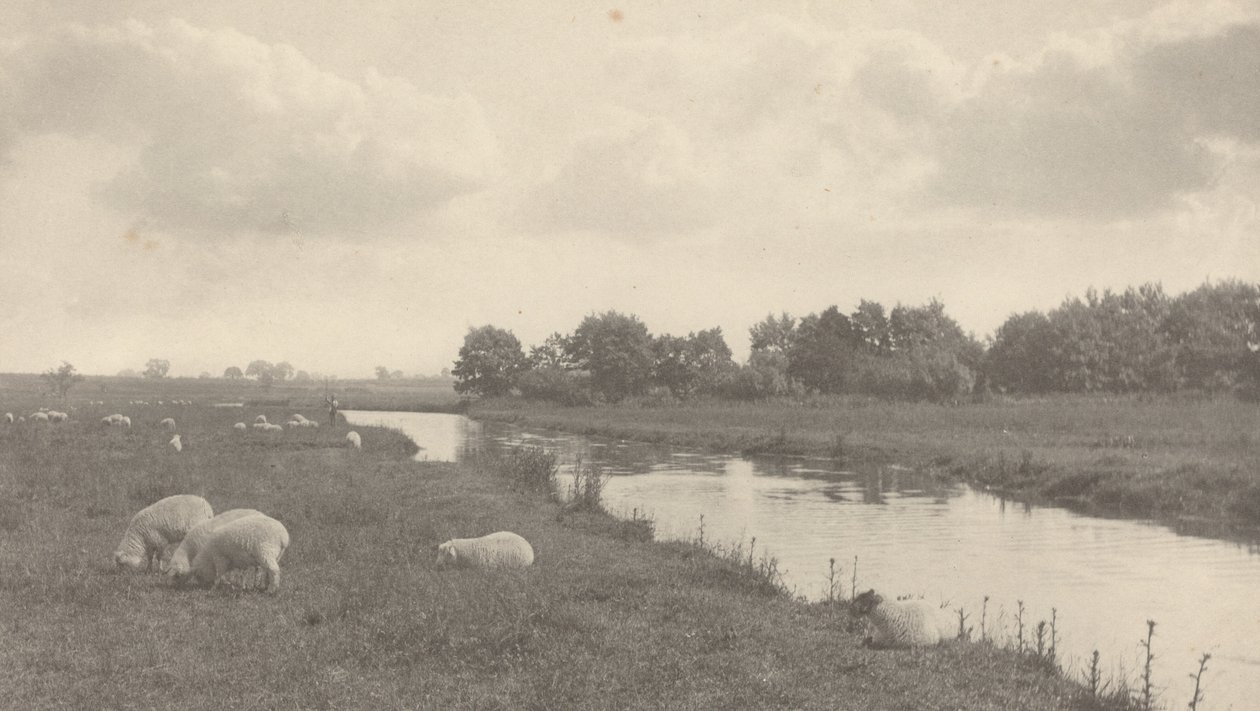 No Rio Bure de Peter Henry Emerson